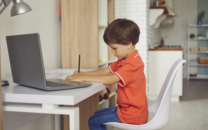 Dreng sidder ved computer